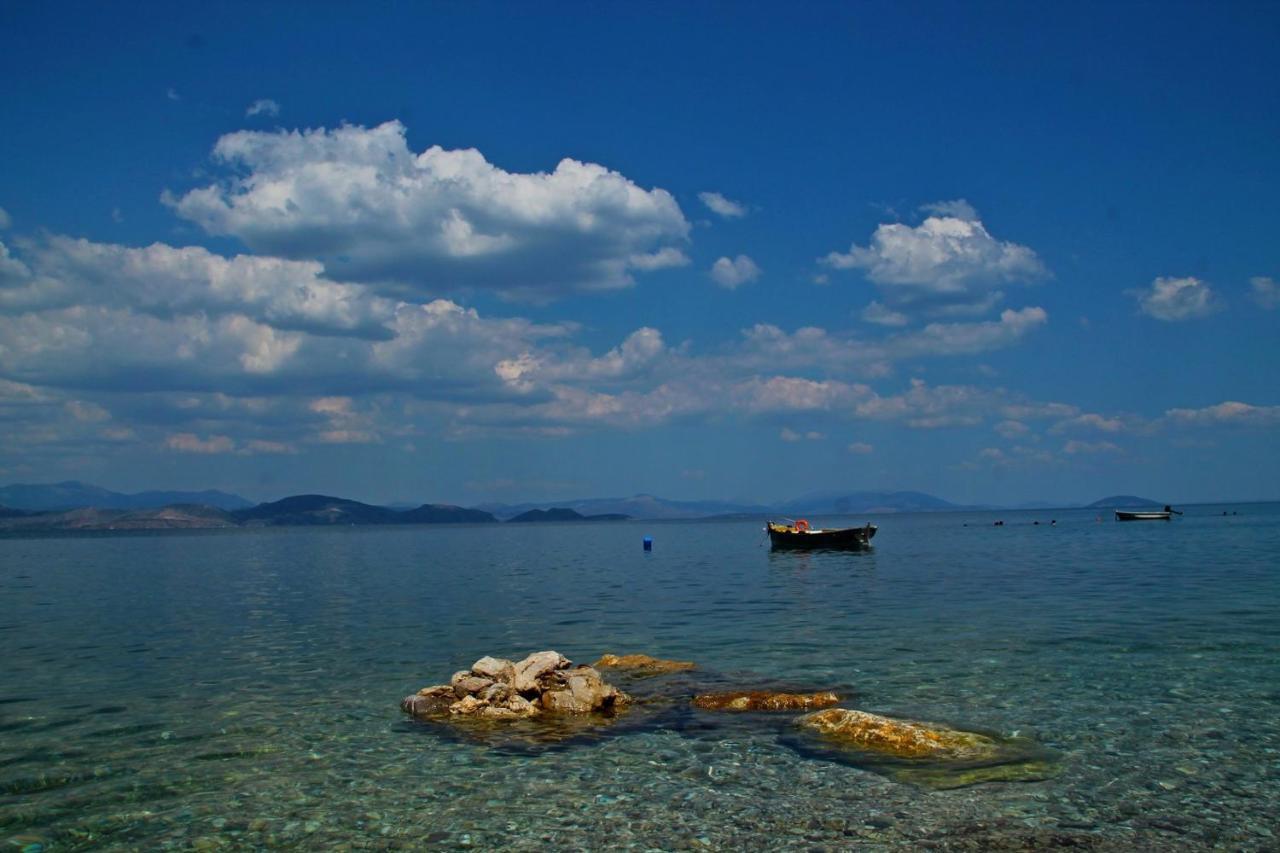 Blue Sky &